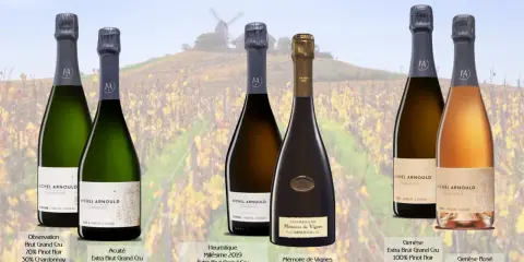 Sechs Flaschen Champagner Michel Arnould im Angebot. Was kostet eine Flasche Champagner? Hier nur 242€ statt 275€.