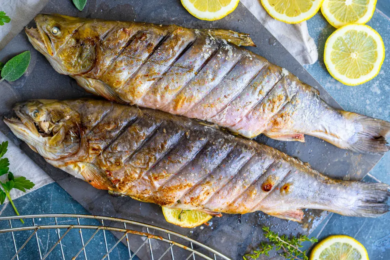 Zwei gegrillte Saiblinge liegen auf einem Steinplatte, garniert mit Zitronenscheiben und Kräutern. Die Frage