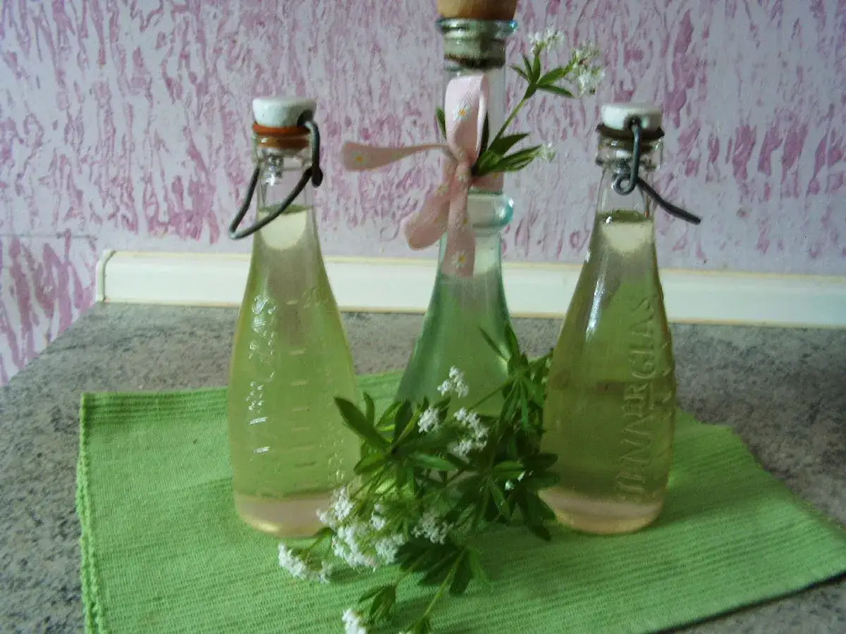 Drei Flaschen mit selbstgemachtem Waldmeistersirup, verziert mit frischem Waldmeister. Ein s&uuml;&szlig;er Genuss f&uuml;r den Sommer.